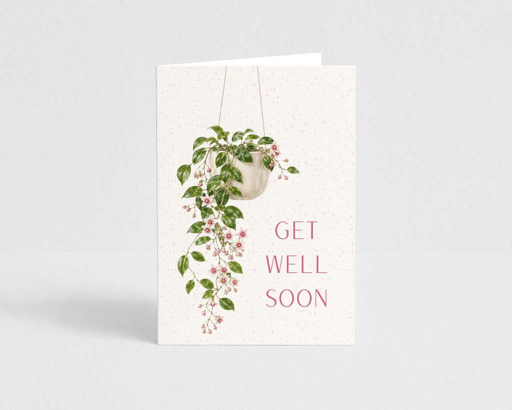 Get Well Soon Hoya