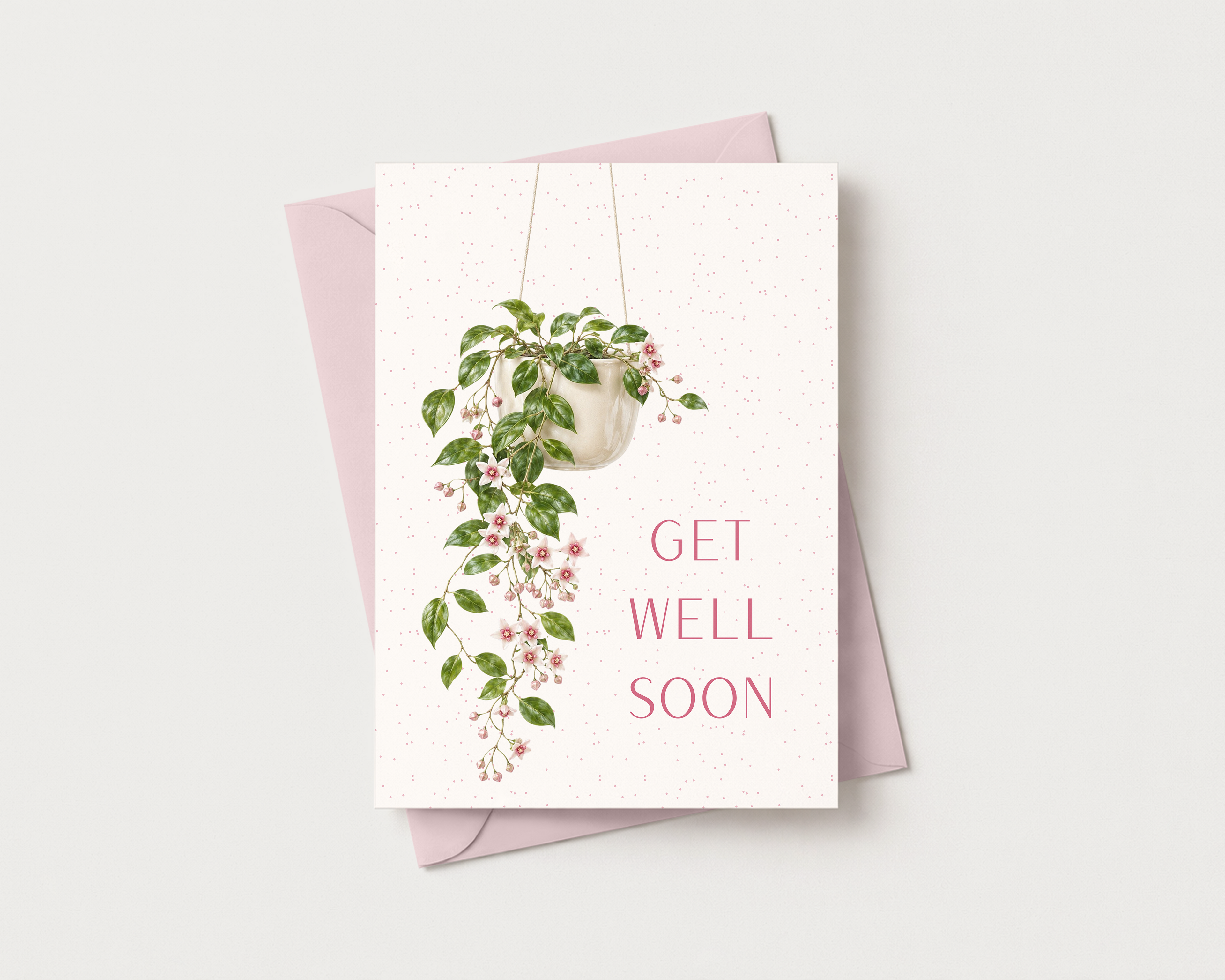 Get Well Soon Hoya